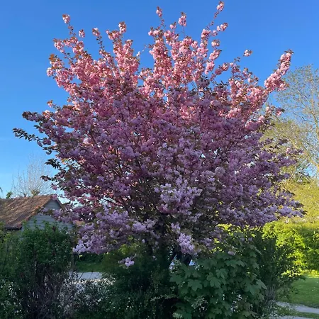 La Paulerie Bed & Breakfast